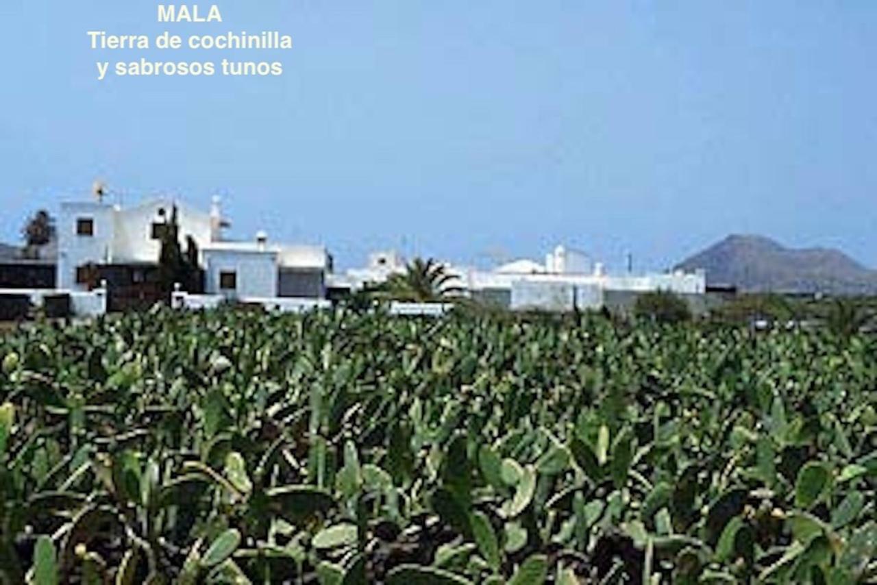 Casa "Gara" Mala-Lanzarote Norte المظهر الخارجي الصورة